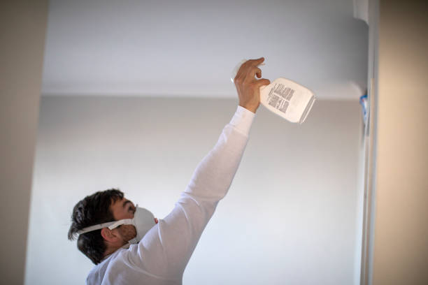 Mold Testing and Removal in Priest River, ID