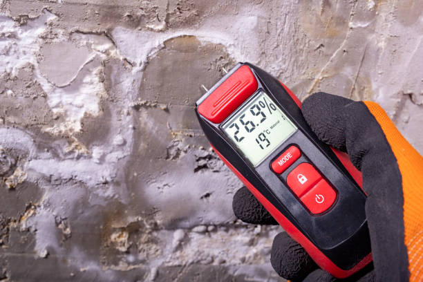 Best Mold Damage Repair  in Priest River, ID